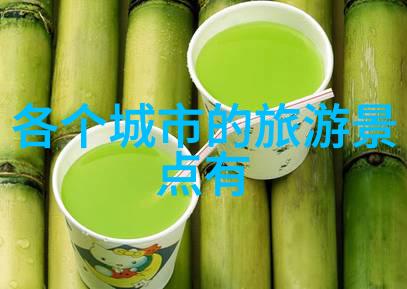 数字之门揭秘12301全国旅游监管服务平台的隐秘面纱