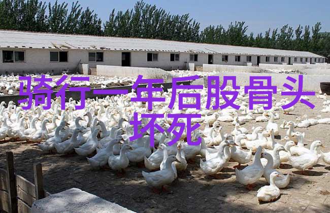 北京特产小吃送人我是如何带着满满的京味去感动朋友们的