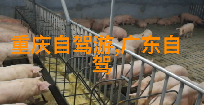 三天两夜的旅行之谜