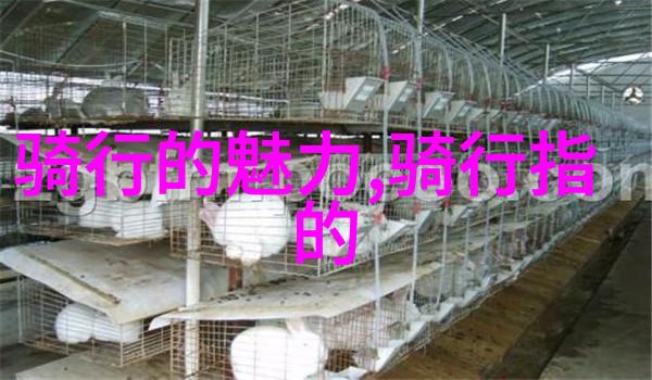 探索龙凤之城南京旅游必游景点全览