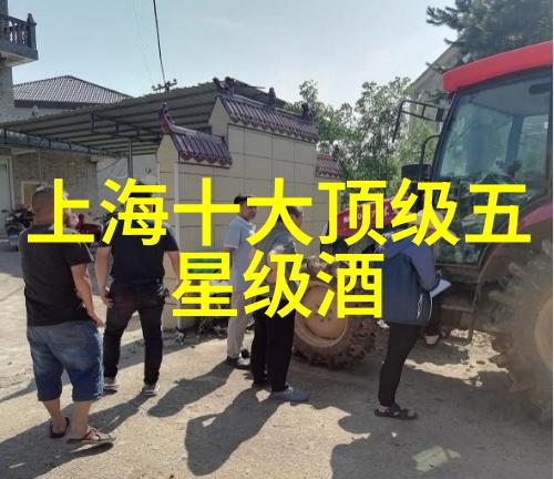 校园绿茵小学生户外乐趣大放异彩