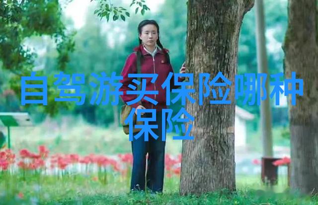探秘未知揭开户外活动的神秘面纱