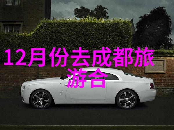 少年西游记中的智慧之光