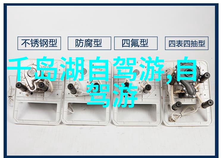 澳洲大冒险从跳蚤市场到海豚亲吻穿越一片神秘的土地
