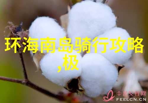 翱翔千古探秘凤凰古城的迷人风韵