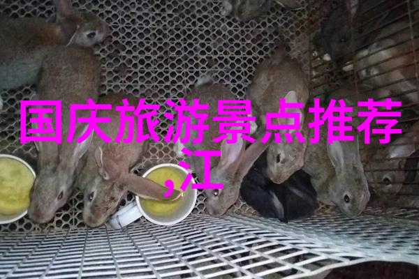 唐山奇迹重现探索地动山摇后的城市魅力