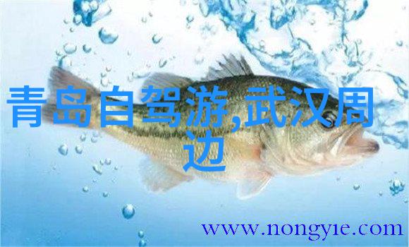 海外探险梦想之旅的金钱代价