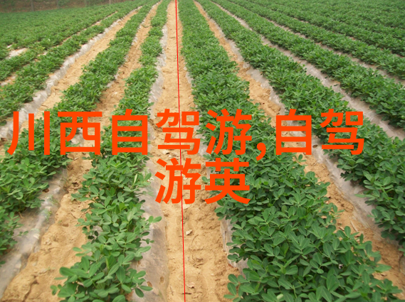 苏州古典园林之旅探索天然风光与人文历史的完美融合