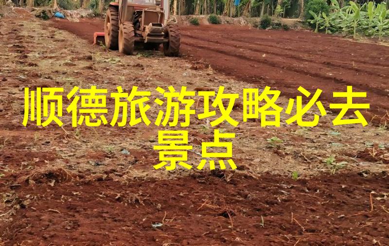 美食攻略来吧跟我一起吃遍这个城市