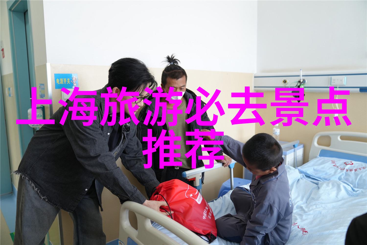 推荐一个自然风味的小吃谢谢大家