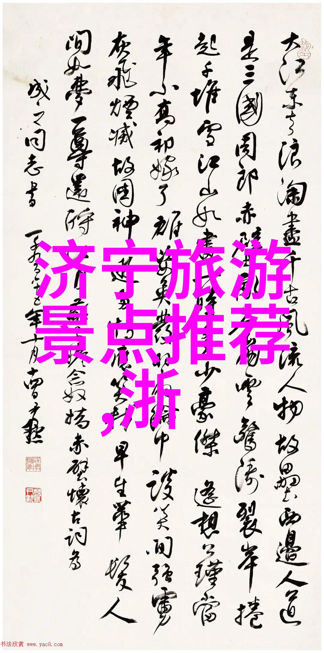 公路骑行选什么自行车亲测分享给你