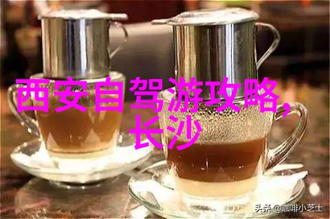 骑行中国十大主播探索风景与分享梦想