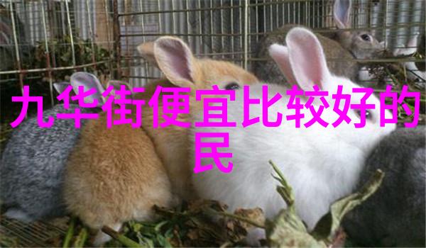 江城武汉探秘古韵与现代魅力