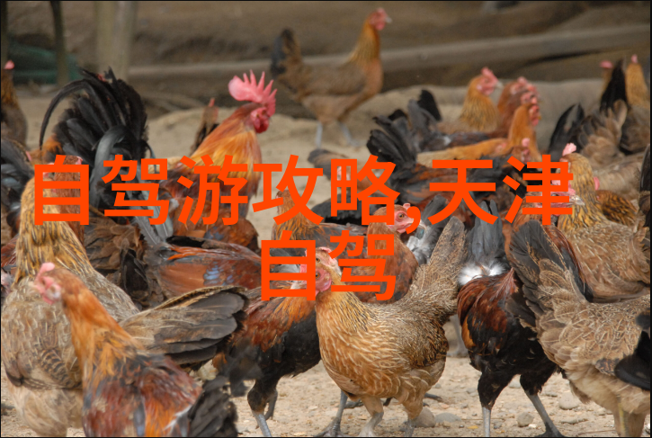 见一次面做3次超详细人际交流的艺术与技术