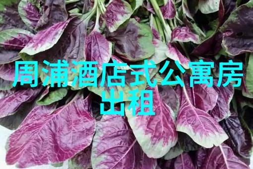 椰风漫步海南自驾游的迷人篇章