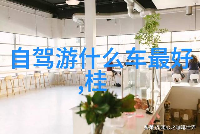 凹凸女BBW不平衡的魅力与自信之旅