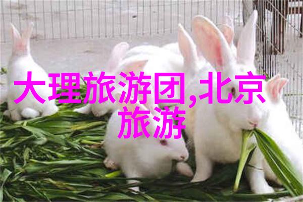 汉中旅游必游景点推荐行程