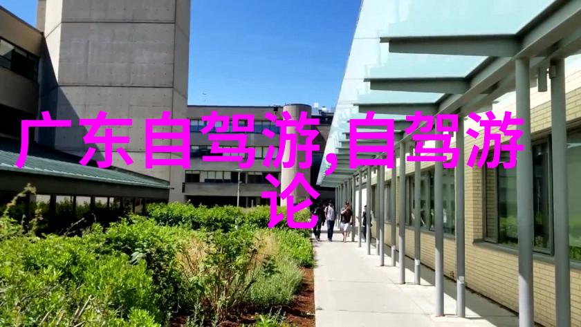 曲阜孔子故乡旅游景点探索中华文化的摇篮