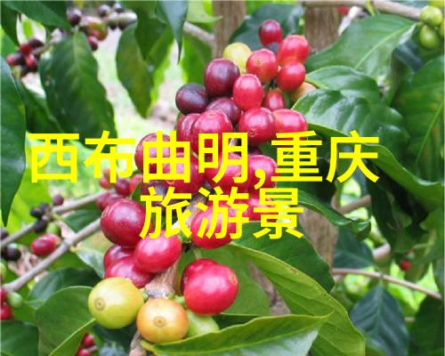 合肥探秘我在合肥的那些好玩地方必逛景点推荐
