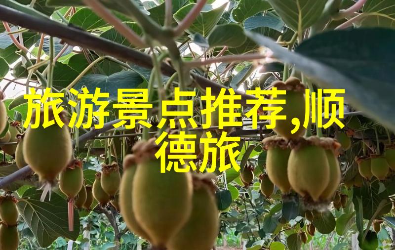 贵州旅游攻略 - 探索云南之南一周末的贵州美食与景点体验
