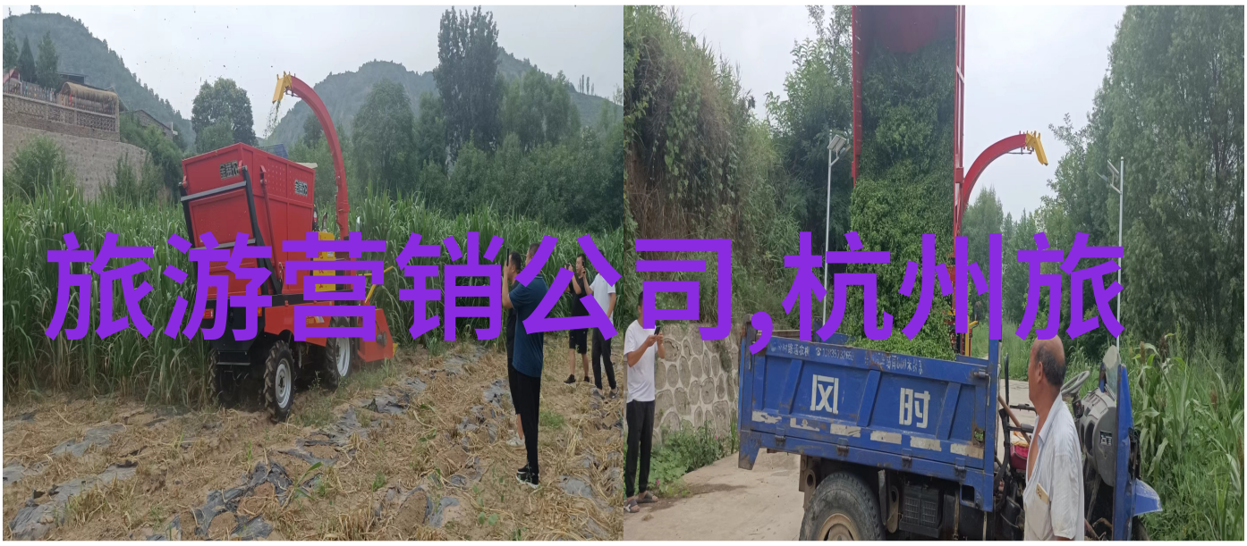 台湾美食探索尝鲜台北小吃品味高雄海鲜