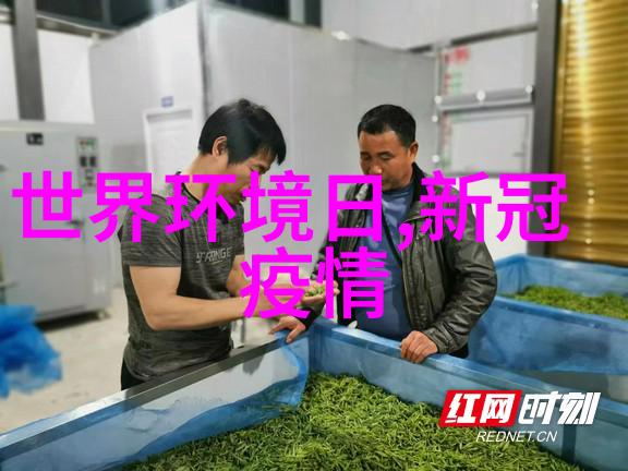 探秘异国风光全球最佳旅游目的地推荐