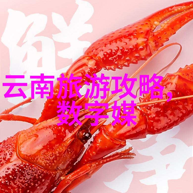 迷失在小城的神秘之旅厦门自助游的未解谜题