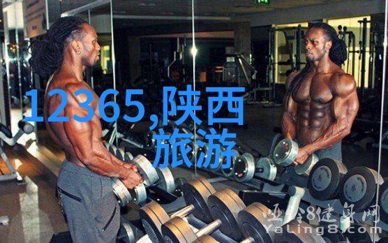 绿色出行倡议在中国实施面临的挑战与机遇有哪些