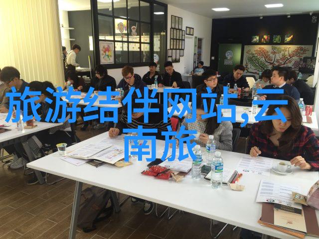 国门之锁揭秘那些不让你出国的真实原因