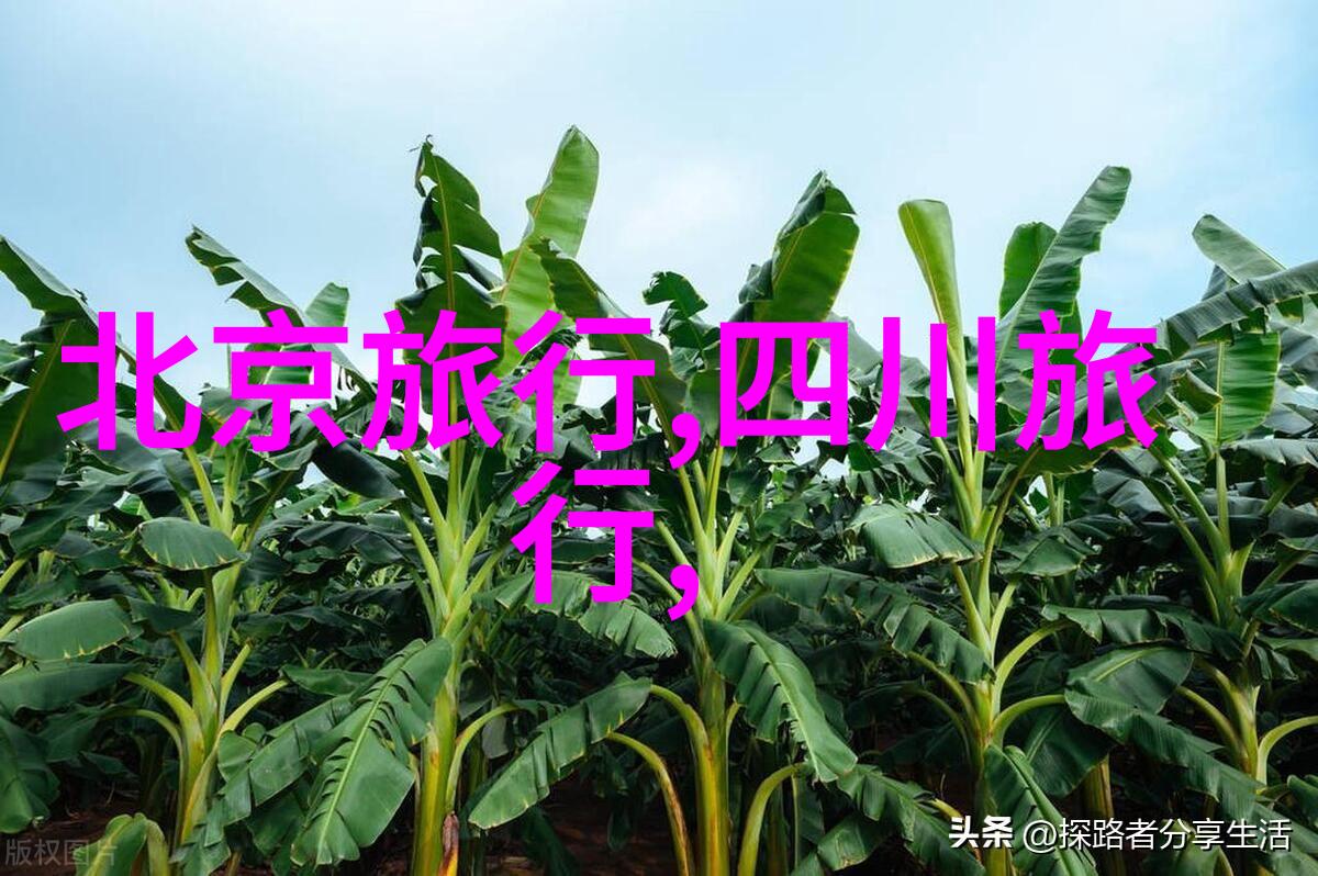 深邃龙宫隐秘梅山的传说与奇遇