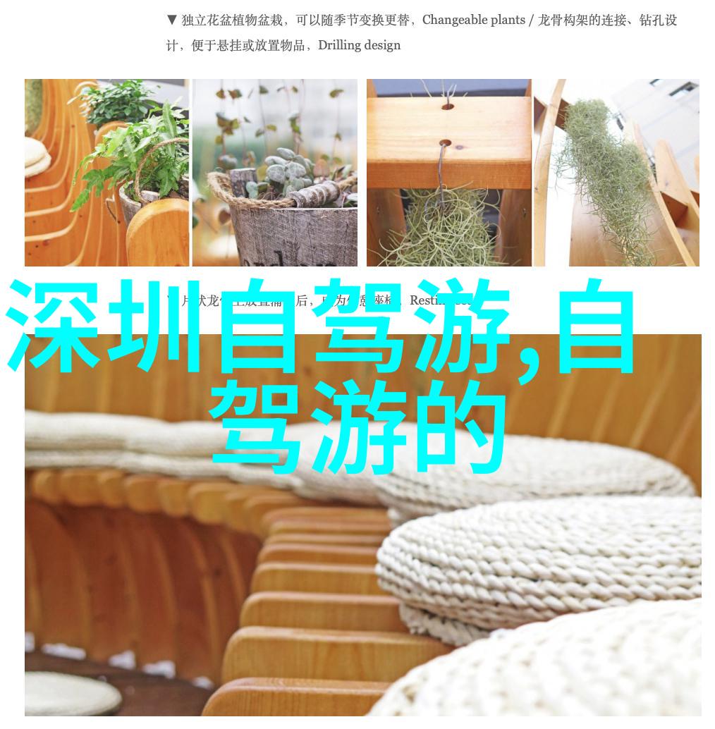 如何设计一个既有趣又教育性的自然探险课程