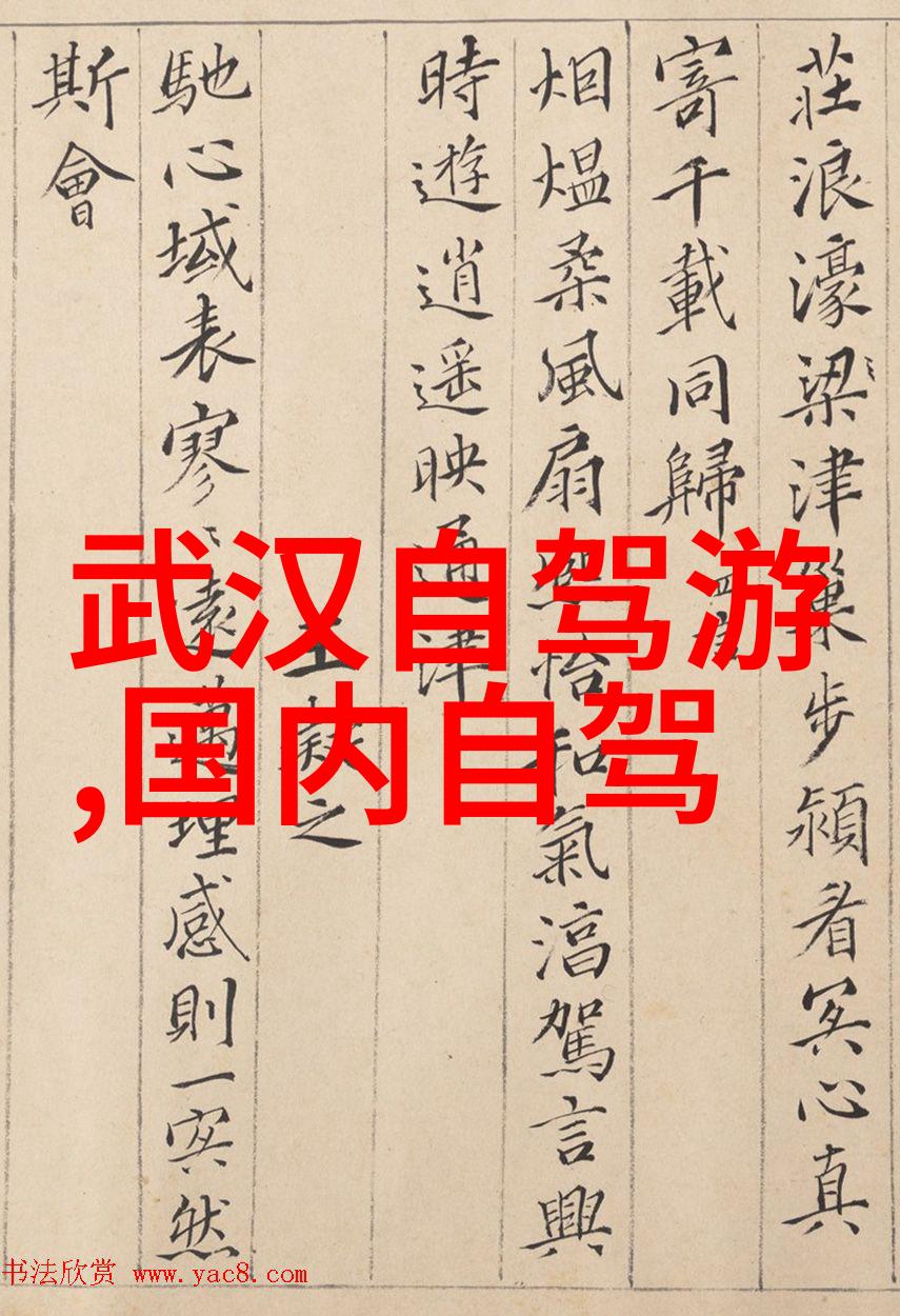 黄山风景我在黄山的那些日子探寻古木参天的秘密