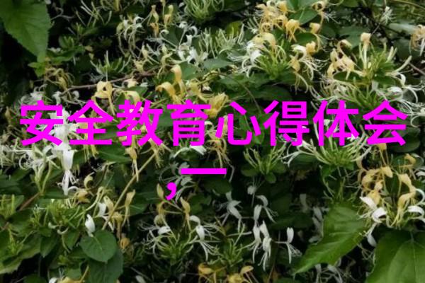 从游戏到管理学习心理学在公司团建中的应用
