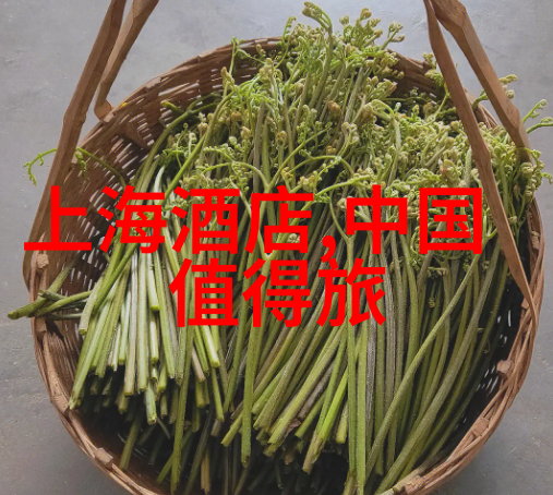 驴友旅行社探索自然的驴友之旅