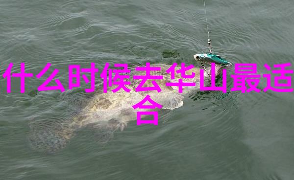 春节假期民宿预订量激增热门景区加班工作以应对游客潮