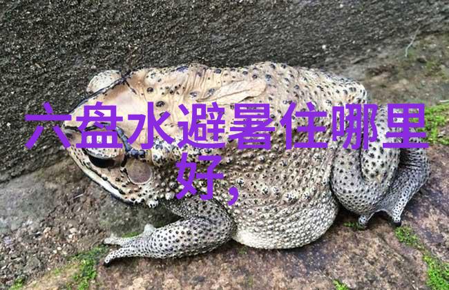 探索自然的足迹小班户外观察之旅