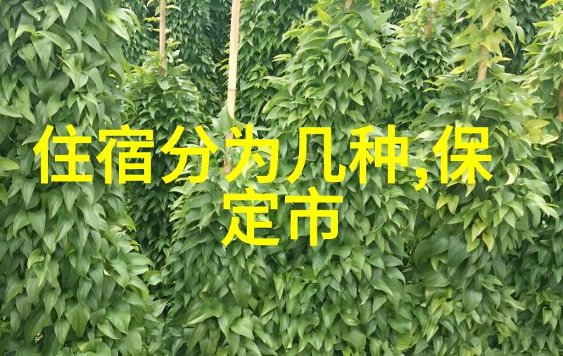 探索未知新游记穿越时空的奇遇