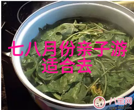 青城之恋探秘都江堰的古韵与魅力