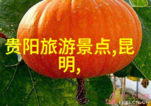 台湾美食之旅品味台湾在地美食