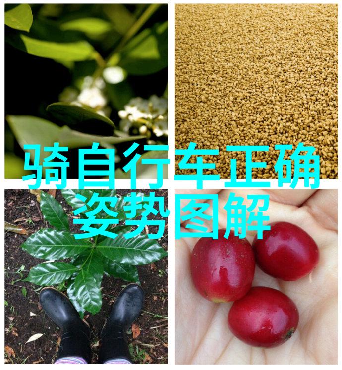 上海市区游玩攻略必去的地方探索繁华与魅力