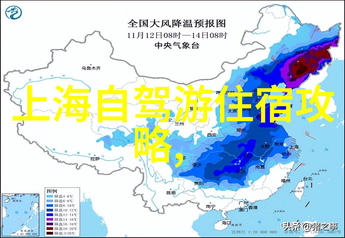 面点制作花样大全我来教你做超级美味的甜点