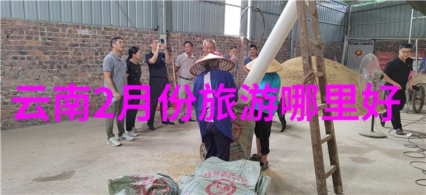 新西兰首都是威灵顿了解其位置地图和最佳旅游时间为出国旅行寻找好玩又经济的目的地