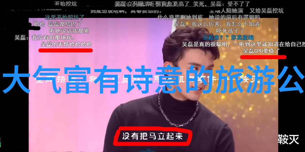 半截白菜剖析一份未完成的梦想