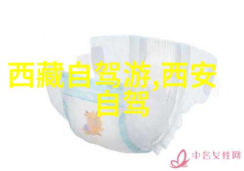 国内旅游加盟我的旅行梦想之路
