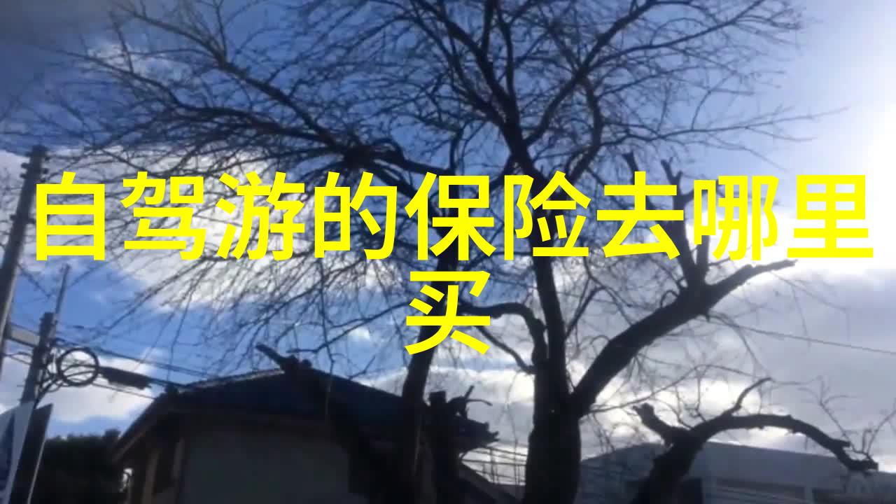 大连美丽旅行探索东北之冠的迷人魅力