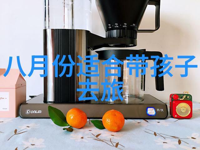骑行的谎言揭秘折叠自行车背后的隐患