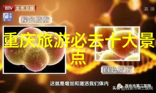 云南七日游攻略与花费预算指南