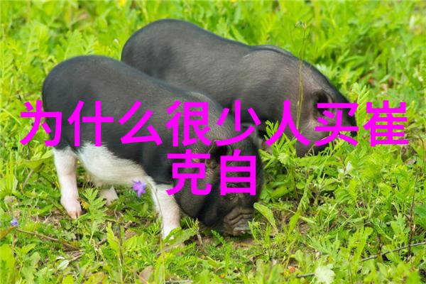 八重神子抚慰旅行者温柔的乳液与远方的旅人