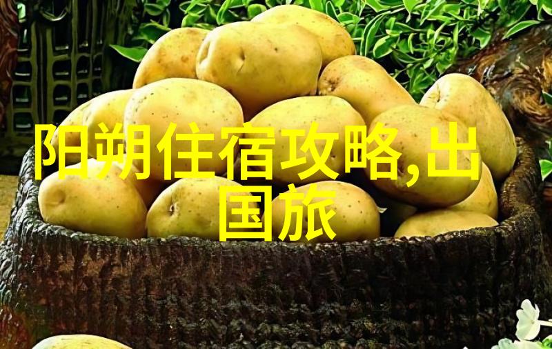 探索湘江边的古韵与现代魅力长沙游记