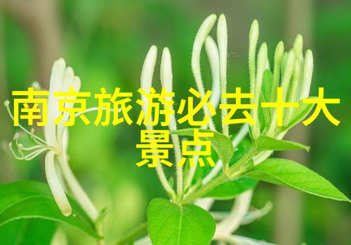 团队和谐室内游戏之旅